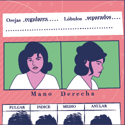 Ícono o ilustración