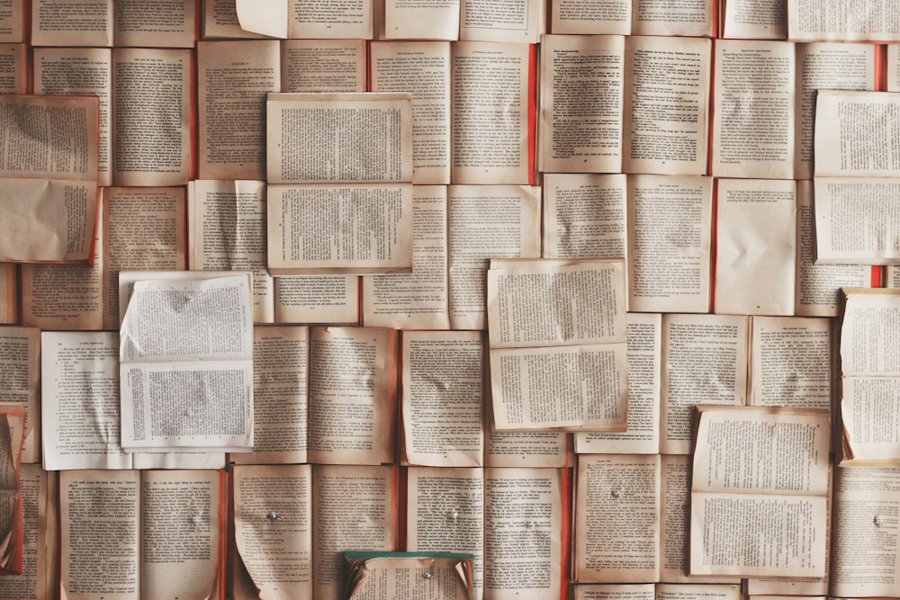 El libro que instaló la discusión sobre desinformación en Paraguay