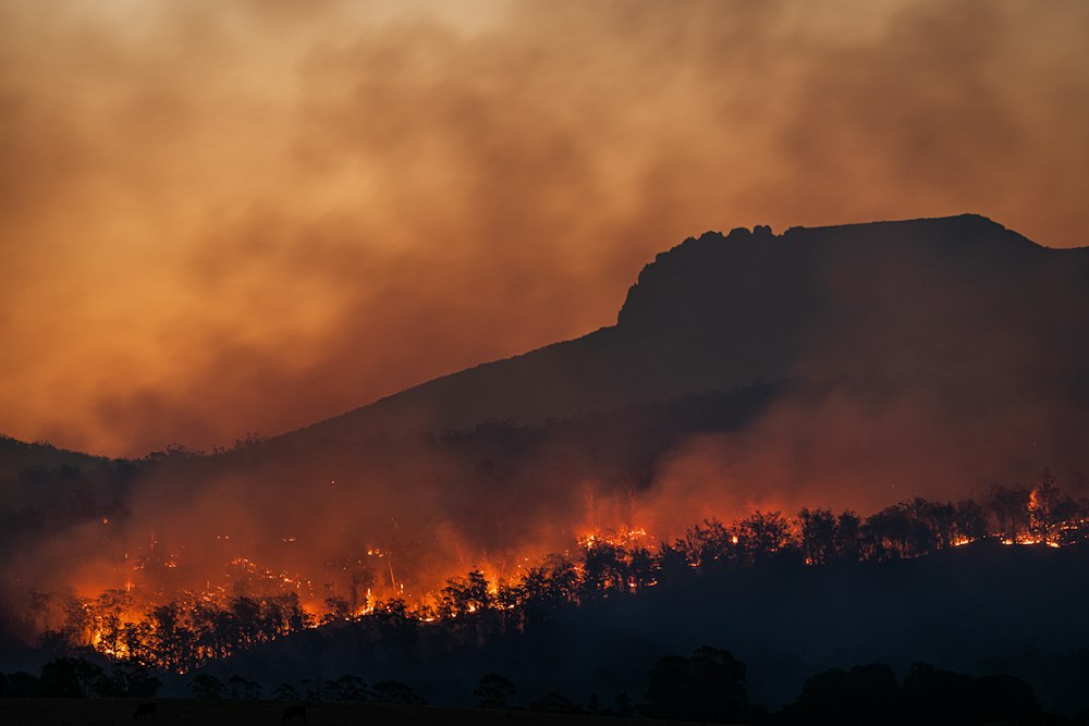 El monitoreo satelital que desnudó los incendios provocados